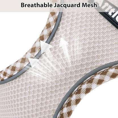 AIITLE Dog Harness and Leash Set - Ultra-Comfortable XXS-XL Vest with Strong Magic Tape & Glow-in-Dark Reflective Strips, Chafe-Free for Teddy, Schnauzer (Brown-Beige, M)