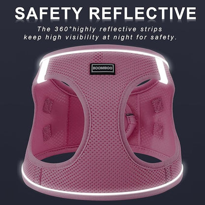 Dog Harness with Leash Set, No Pull Adjustable Reflective Step-in Puppy Pet Vest Harnesses for Small Medium Large Dogs and Cats,Purple XXS