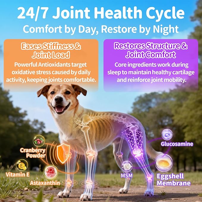 25-in-1 Dog Vitamins and Supplements - Day & Night 2 Pack - Dog Multivitamin Powder with Collagen, Glucosamine, Probiotics - Joint, Gut, Calm, Skin & Immune Support, Beef Flavor, 150 Scoops
