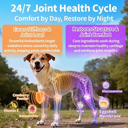 25-in-1 Dog Vitamins and Supplements - Day & Night 2 Pack - Dog Multivitamin Powder with Collagen, Glucosamine, Probiotics - Joint, Gut, Calm, Skin & Immune Support, Chicken Flavor, 150 Scoops