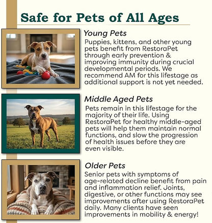 RestoraPet 1-Pack Dog & Cat Unflavored Liquid Multivitamin | Dog Arthritis Pain Relief | Hip&Joint Vitamins for Dogs | Anti Inflammatory Supplement for Dogs & Cats | Organic & Non-GMO, Vet Approved