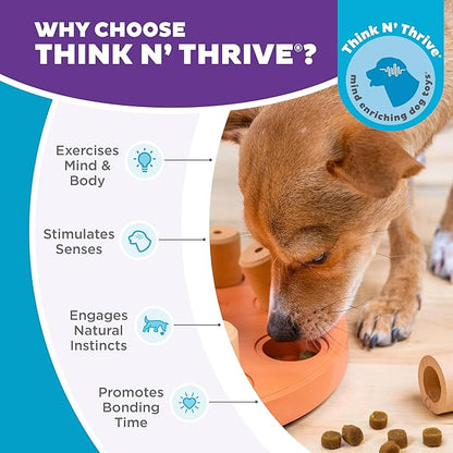 Outward Hound by Nina Ottosson Dog Smart Treat Puzzle Enrichment Toy, Level 1 Beginner, Orange, Composite
