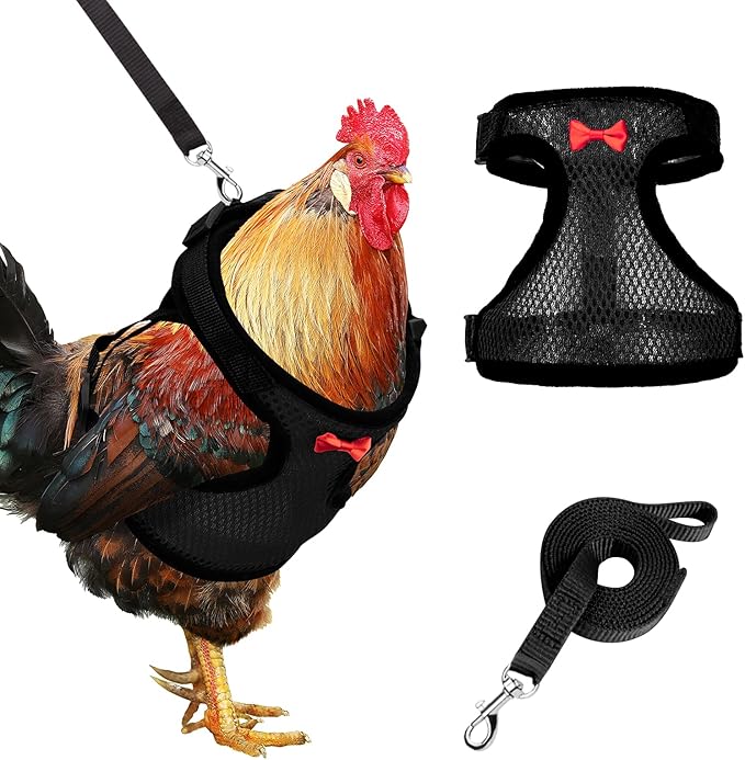 Adhafera Chicken Harness with Leash, Upgraded Double Adjustment Chicken Harness and Leash Set for Hens, Duck, Goose, Small Pet (Black, L)
