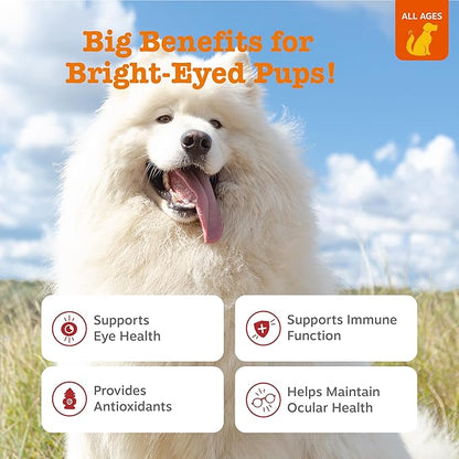 Zesty Paws Tear Stain Support Soft Chews for Dogs - for Eye Moisture + Vision & Immune Support - Functional Supplements with Fish Oil, Lutein, Cranberry & Vitamin C - Chicken Flavor - 90 ct