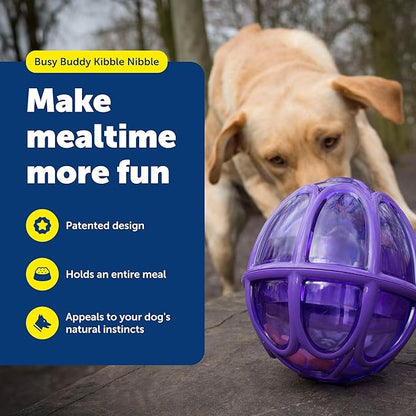 PetSafe Busy Buddy Kibble Nibble Dog Toy - Encourages Natural Instinct Feeding - Patented Treat Meter Design - Rubber Bumpers - Interactive Slow Feeder Ball - Purple - Large