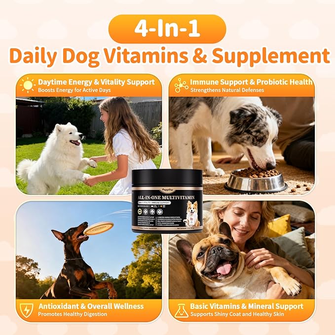 Dog Vitamins and Supplements for Daily Energy, Immune, Antioxidants, Gut, Skin & Coat, Dog Multivitamin Powder for Homemade Food with L-Carnitine, Taurine, Probiotics - Beef Flavor, 75 Scoops