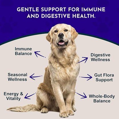 Animal Essentials Immuno-Thrive Wellness Powder for Dogs & Cats - All Natural Immune Support for Pets, Mushroom Blend, Promotes Healthy Skin & Coat, Life Extension Antioxidant Formula - 5.3 oz