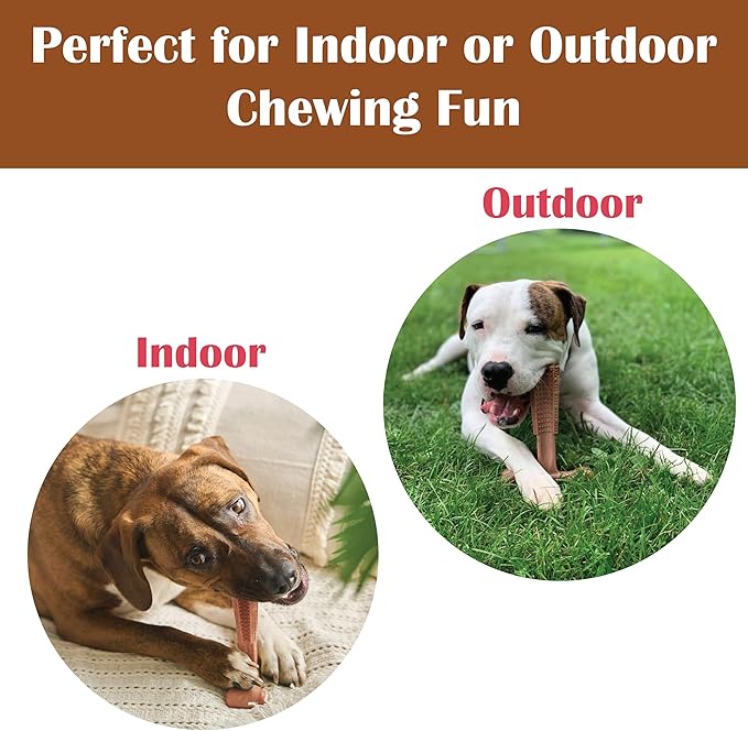 SPOT Bam-Bones Plus Coffee Wood T-Bone Dog Chew Toy, Beef Flavor, Nylon and Coffee Wood Fiber Blend, Durable Chew for Heavy Chewers and Dogs Under 60 lbs, Non-Splintering Dental Chew, 6 Inch