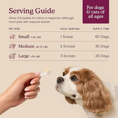 Fera Pets Bladder Support - Cranberry for Dogs & Cats - D-Mannose & Marshmallow Root - Urinary Tract Support - Supports Normal Urine pH - Boosts Immunity - 60 Scoops
