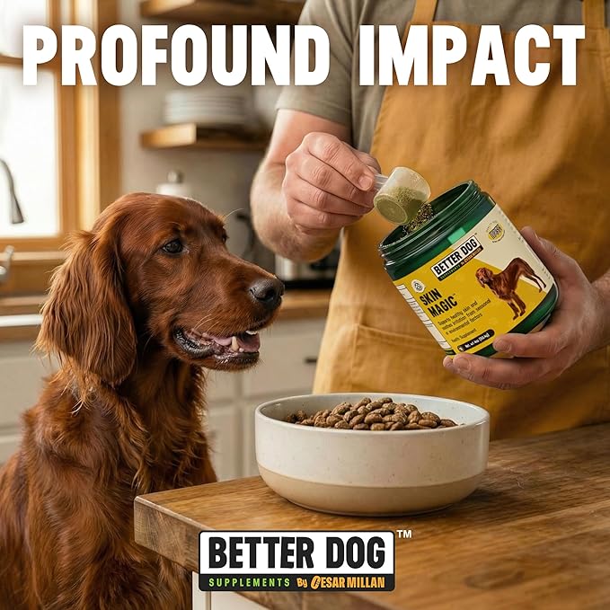 Better Dog Supplements Skin Magic by Cesar Millan – Natural Skin and Coat Supplement for Dogs Irritation from Seasonal Factors, Hot Spots, & Itch Relief Dog Skin Supplement – 4oz (60-Day Supply)