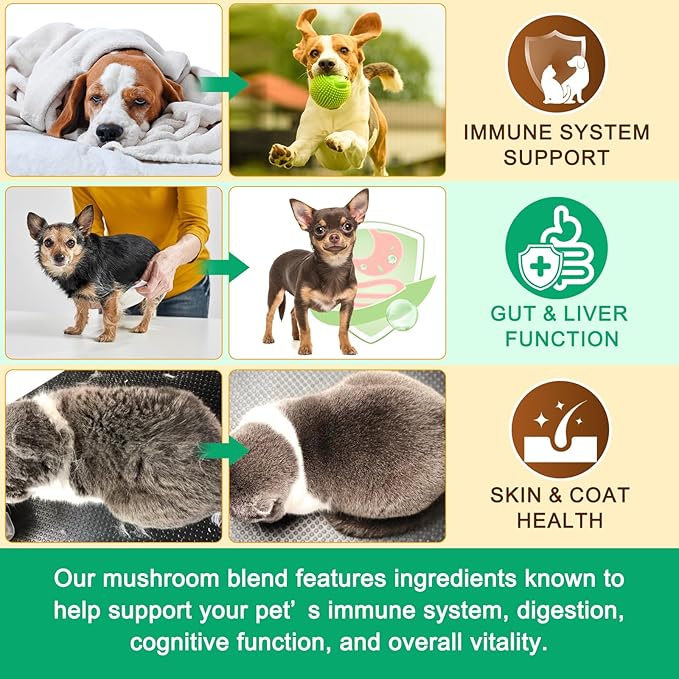 Mushroom Supplement Powder for Dogs & Cats, 2 Pack Turkey Tail Mushroom for Dog, Enriched with Antioxidants, Immune Support, Cellular Protection, Joint & Skin Support, Mushrooms Complex for Pets