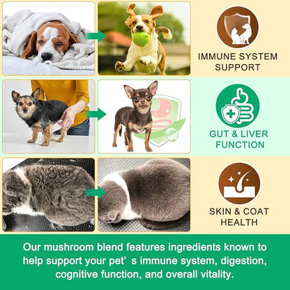 Mushroom Supplement Powder for Dogs & Cats, 2 Pack Turkey Tail Mushroom for Dog, Enriched with Antioxidants, Immune Support, Cellular Protection, Joint & Skin Support, Mushrooms Complex for Pets