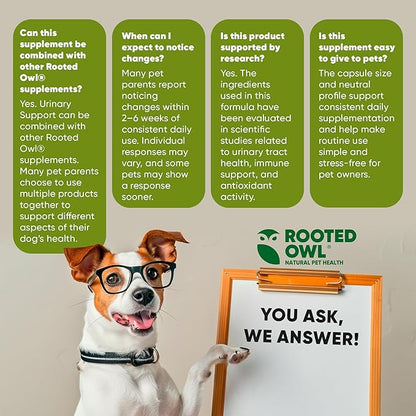 Rooted Owl Urinary Support - Echinacea and Cranberry Supplement for Dogs - Dog UTI Prevention - 60/ct