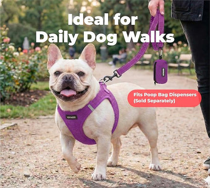 Best Pet Supplies Voyager Reflective Dog Leash or Collar with Neoprene Handle, for Small, Medium, and Large Breed Puppies, Cute and Heavy Duty for Walking, Running and Training - Purple (Leash), M