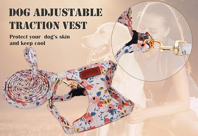 No Pull Dog Harness Adjustable Small Dog Harness and Leash Set, Lightweight and Soft Dog Harness No Choke Escape Proof Pet Harness Vest (Orange Rose, Small)