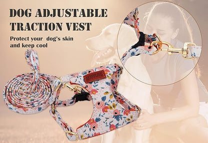 No Pull Dog Harness Adjustable Small Dog Harness and Leash Set, Lightweight and Soft Dog Harness No Choke Escape Proof Pet Harness Vest (Orange Rose, M)