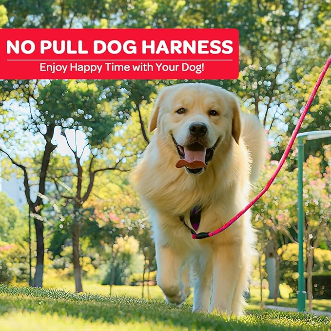 FURRYFECTION Plaid Dog Harness for Medium Dogs, Reflective No Pull Adjustable Pet Vest with Front Clip, Leash, Easy Control Handle and Seat Belt, Red&Black, M