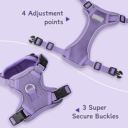 Small Dog Harness and Leash Set, Reflective Soft Breathable Mesh Vest, 3 Buckles, Adjustable Neck and Chest,Step in Dog Harness for Walking, Running, Training, Purple, XS