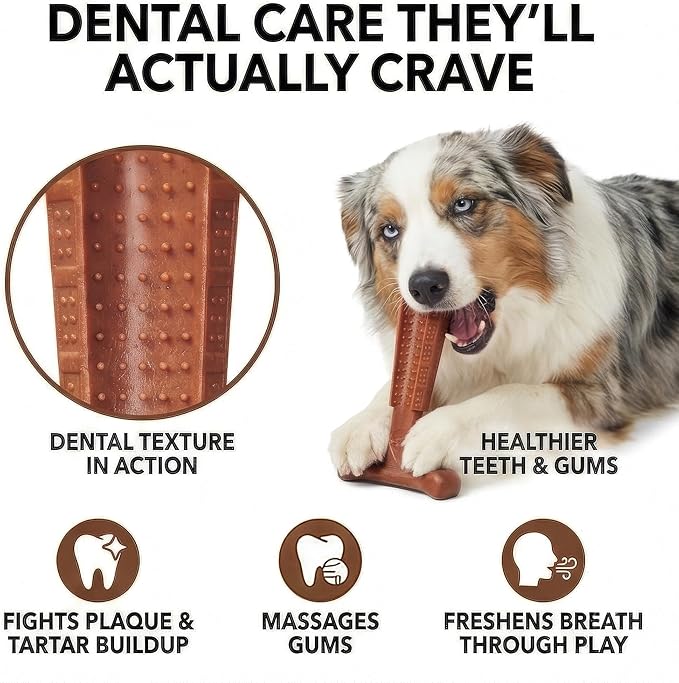SPOT Bam-Bones Plus Coffee Wood T-Bone Dog Chew Toy, Beef Flavor, Nylon and Coffee Wood Fiber Blend, Durable Chew for Heavy Chewers and Dogs Under 60 lbs, Non-Splintering Dental Chew, 6 Inch