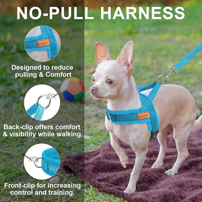 BEAUTYZOO Dog Harness for Small Dogs, No Pull Dog Harness and Leash Set, Soft Escape Proof Puppy Vest Harness with Handle, Reflective Lightweight Step in Harness for Girl Boy Dogs, Blue XS