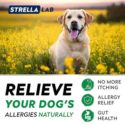 StrellaLab Dog Allergy Relief & Anti Itch Support Chews w/Omega 3, Pumpkin, Enzymes & Turmeric: Real Ingredients, Real Taste! Skin & Coat Immune Supplement w/Fish Oil - Made in USA - 180Ct - Chicken