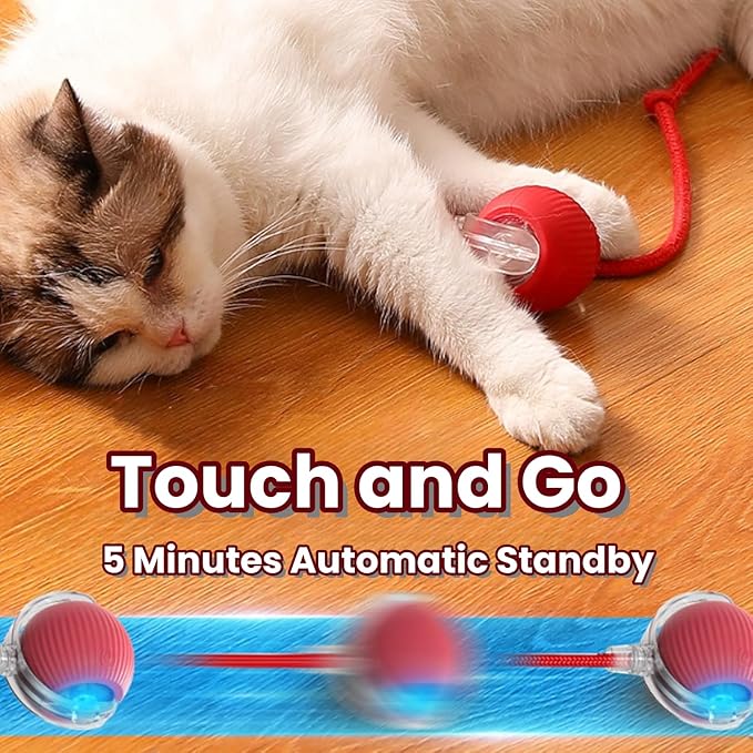 Interactive Rotating Cat Ball Toy, 360 Smart Rolling Ball Electric, Automatic Moving for Cats & Kittens (Grey)