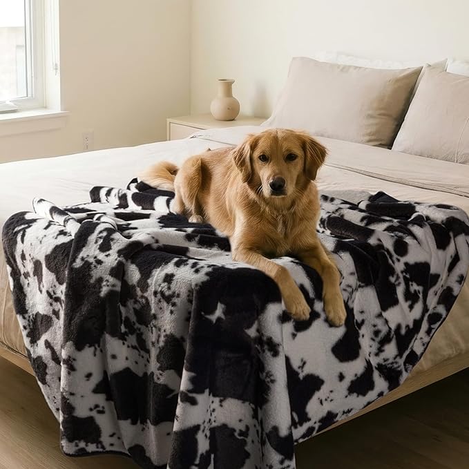 Waterproof Blanket for Bed, Couch, or Car - 60” x 80” Reversible Queen Size Throw Blanket for Reliable Leakproof Furniture Protection - Washable Pet Throws by Lavish Home (Cow Print)