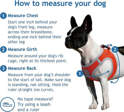 Kruz Dog Harness (Chest 20.5"-22", Weight 20–25 lbs) Athletica Adjustable Heavy Duty No Choke Puppy Vest for Small Dogs Lightweight Air Mesh, Reflective, Puppy Essentials – Mint Green, X-Large