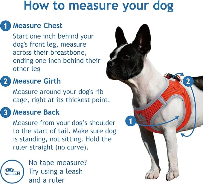 Kruz Dog Harness (Chest 20.5"-22", Weight 20–25 lbs) Athletica Adjustable Heavy Duty No Choke Puppy Vest for Small Dogs Lightweight Air Mesh, Reflective, Puppy Essentials – Turquoise, X-Large