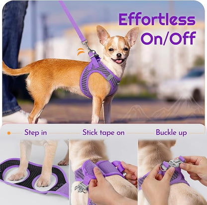 Eagloo Small Dog Harness and Leash Set, Step in Puppy Vest with Breathable Soft Mesh, Walking Reflective Pet Harness for Small Dogs, Purple, L
