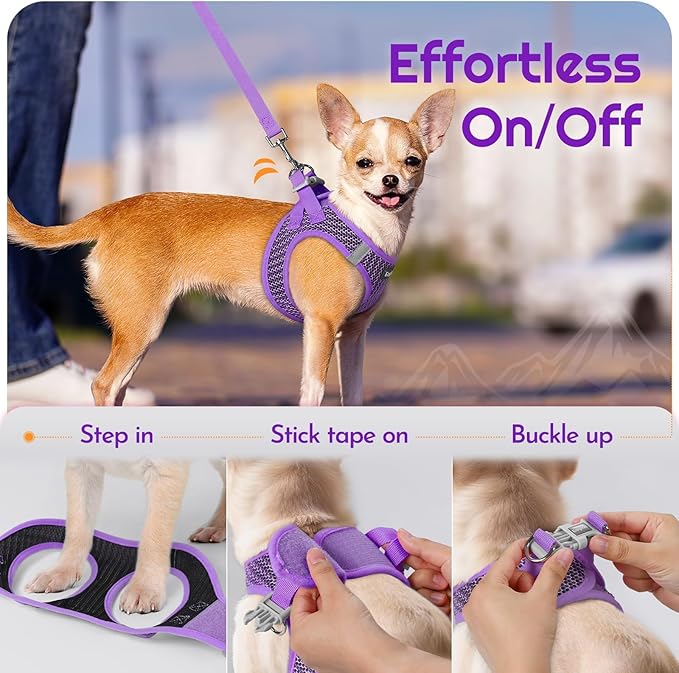 Eagloo Small Dog Harness and Leash Set, Step in Puppy Vest with Breathable Soft Mesh, Walking Reflective Pet Harness for Small Dogs, Purple, M