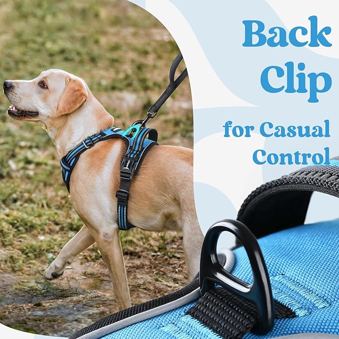 rabbitgoo Dog Harness for Large, No Pull Pet Harness with 3 Buckles, Adjustable Soft Padded Vest with Control Handle, Walking Reflective Pet Vest for Large Dogs, Sky Blue, L