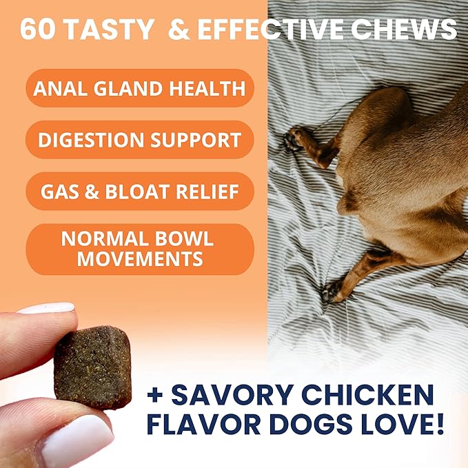 Under the Weather Scoot Stop Chews for Dogs | Vet Formulated No-Scoot for Dogs Supplement | Digestive & Anal Gland Support Support for All Breeds | 60 Count