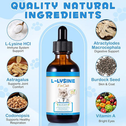 Lysine for Cats Supplement – Immune System & Respiratory Health Support for Cats & Kittens 2floz– Eye Discharge, Sneezing Relief – Tasty Easy-Mix Formula – Daily Cat Lysine for Stronger Immunity