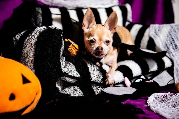 Glow Pups Dog Bed Cozy Sofa, Striped Pattern Cat Bed with Soft Faux Lambswool Cushion, Machine Washable Cotton Blend, Three-Sided Design, Black/White, XX-Large 47.24" L x 27.55" W x 15.75" Th