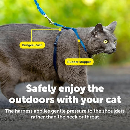 PetSafe Come With Me Kitty Cat Harness & Bungee Leash - Comfortable Cat Harness with Lightweight Bungee Leash for Outdoor Fun - More Secure Walks - Small - Royal Blue