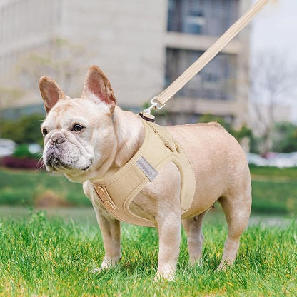 PUPTECK Dog Harness and Leash Set for Small Medium Dogs No Pull Step-in Soft Mesh Puppy Cat Vest Harnesses Reflective at Night, Denim Burlywood S