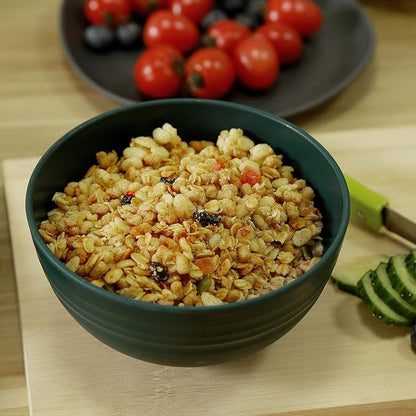 shopwithgreen Plastic Cereal Bowls, Reusable Bowls for Kitchen, Set of 4, Microwave and Dishwasher Safe Bowl for Soup, Oatmeal, Ramen, RV, Camping, Kids, College Dorm Room, 26 OZ, Dark Coastal