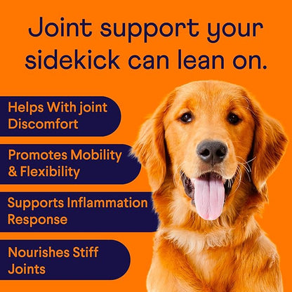 Finn Hip and Joint Supplement for Dogs | Glucosamine, Chondroitin & MSM for Joint and Mobility Support | with Turmeric, BioPerine and B-Vitamins | 90 Soft Chews
