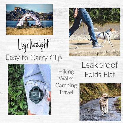 Lucky Love Dog Travel Bowl, Collapsible Compact Water Dog Dish (Grass)