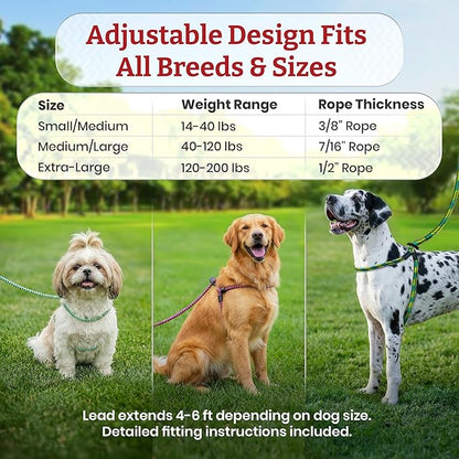 Harness Lead No Pull Dog Harness and Leash Set, Anti Pull Dog Harness for All Breeds and Sizes, One-Piece Cushioned Rope Design Safely Prevents Escaping and Pulling (Medium/Large, Red/Reflective)