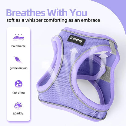 Solmoony Sparkly Small Dog Harness and Leash Set, Step in Soft Light Puppy Vest, Breathable Reflective Pet Harness for Walking, Puppy Harness for Small Dogs Cats (Purple, S)