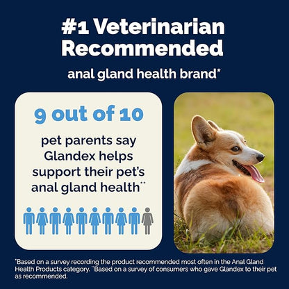 Vetnique Glandex Dog Fiber Supplement Powder for Anal Gland Health with Pumpkin, Digestive Enzymes & Probiotics - Vet Recommended (Regular or Advanced Strength) - Boot The Scoot (5.5 oz, Salmon)