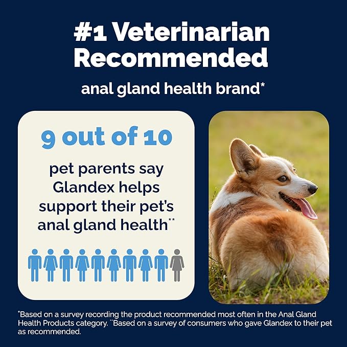 Vetnique Glandex Dog Fiber Supplement Powder for Anal Glands with Pumpkin, Digestive Enzymes & Probiotics - Vet Recommended (Regular or Advanced Strength) - Boot The Scoot (2.5 oz, Pork Liver)