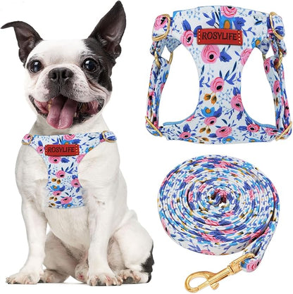No Pull Dog Harness Adjustable Small Dog Harness and Leash Set, Lightweight and Soft Dog Harness No Choke Escape Proof Pet Harness Vest (Blue Rose, Medium)