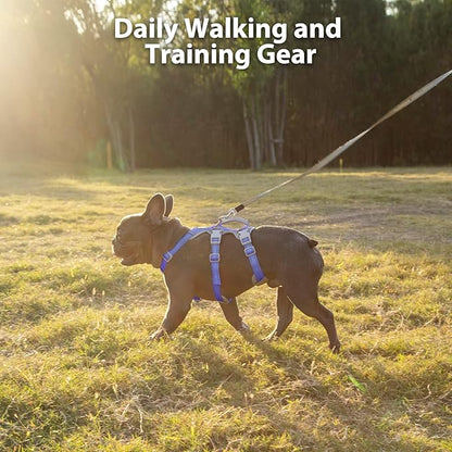 Huntboo Escape Proof Harness, No Slip Dog Harness Escape Proof,Fully Reflective Harness with Handle, Breathable,Durable, Adjustable Vest for Medium Dogs Walking,Training,and Running Gear(Vista Blue,M)