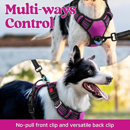 rabbitgoo Dog Harness for Large Dogs, No Pull Pet Vest with 3 Buckles, Adjustable Soft Padded Pet Harness with Easy Control Handle and Reflective Strips, Purple, L