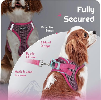 Eagloo Small Dog Harness and Leash Set, Step in Puppy Vest with Breathable Soft Mesh, Walking Reflective Pet Harness for Extra Small Dogs, Rose Red, XXS
