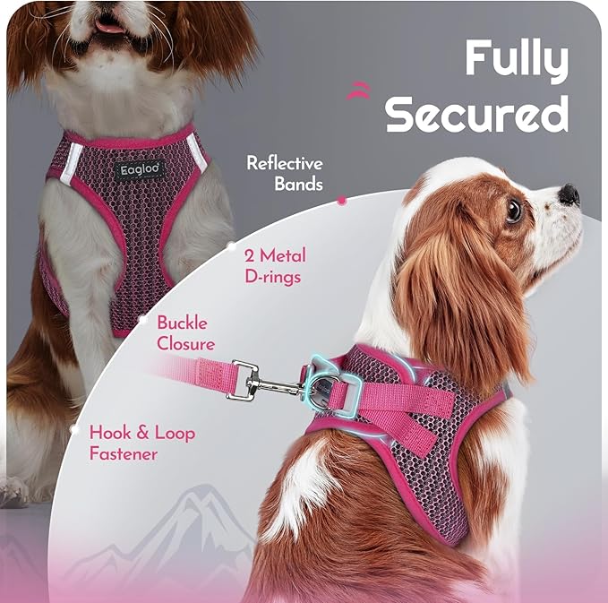 Eagloo Small Dog Harness and Leash Set, Step in Puppy Vest with Breathable Soft Mesh, Walking Reflective Pet Harness for Medium Small Dogs, Rose Red, L