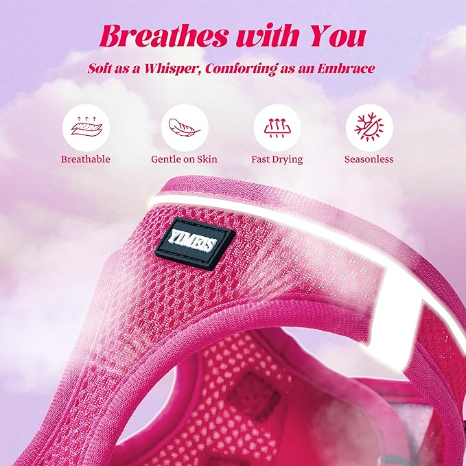 YIMEIS Dog Harness and Leash Set, No Pull Soft Mesh Pet Harness, Reflective Adjustable Puppy Vest for Small Medium Large Dogs, Cats (Rose Red, Small (Pack of 1)